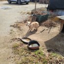 신봉농장 이미지