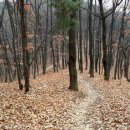 화원119안전센터 이미지