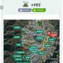 6월4일 목요일. 강원 양구. DMZ 펀치볼 야생화 숲길과 최고의 전망코스 '오유밭길'과 현지주민의 숲밥 점심 이미지