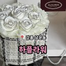하플라워