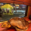 수원 생갈비 | 생일 기념 수원 가보정 방문 - 미국산과 한우 생갈비 먹어본 후기