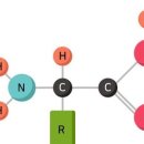 크라우드짐 이미지