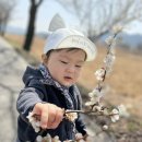 달창저수지 이미지