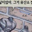 북해어장왕코다리 네이버블로그