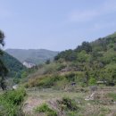 송선1리 이미지