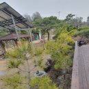 여주-0944 이미지