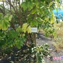 복덕농장 이미지