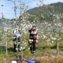 삼애농원 이미지