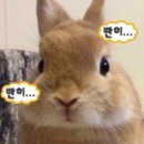 단양군평생학습센터 1층 | 251018 안양 평생 학습축제 의왕 시민의날 기념음악회 후기 손진욱