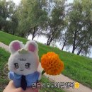 은빈님 인별 꽃 이미지