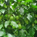 세광농장 이미지