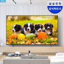75 | 75인치 TV 고민 끝내기, 거실이 확 달라진 삼성전자 LH75BEF 후기