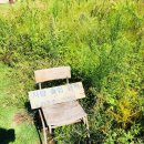 르트와 | 카페투어] 제주도 카페 추천 : 아줄레주,마노르블랑,르트와베이스먼트,워더먼트,브와두스 베이커리 후기!