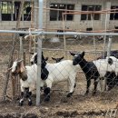 서울 2농장 이미지