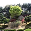 구덕문화공원 Daum카페