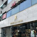 티에프골프라운지 | [골프] 강남 피팅샵 티에프골프라운지 찐 후기 강남골프피팅 강남골프레슨 역삼골프레슨 마크앤로나...