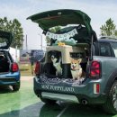 퍼피라이프 이미지