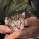 코코코게스트하우스 이미지