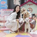 펫필드 동물병원 이미지