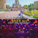 주식회사빌리브 | 도쿄 디즈니랜드 디즈니씨 입장권 예약 파크호퍼 dpa 미녀와야수 라푼젤 겨울왕국 불꽃놀이