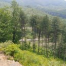 에버그린펜션 이미지