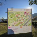 황산매일시장 | 황산공원 2025년 양산국화축제 행사별 포인트는?