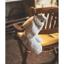 앤드(AND) 이미지