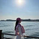 포항 펜션 풀빌라 스테이 기록 이미지