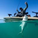 캐치파워 이미지