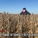 에프엠씨코리아 이미지