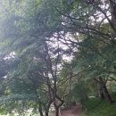 가인야영장 이미지