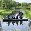 우포의 숲속 이미지