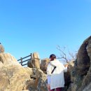 관악산길 | 주말 서울 근교 등산 코스 추천: 관악산 연주대 초보 코스 (주차, 소요시간, 3월 풍경)