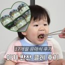 11650-17-6-1 | 17개월 밥태기 극복 푸드케어 클레 아기 반찬 양배추 유아식 후기