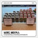 보레드베이커스 | 서귀포 두쫀쿠 파는곳 찾는다면? 바다뷰 미쳤던 ‘서귀피안 보레드베이커스’ 내돈내산