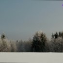 에이스렌트카 이미지