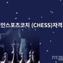 브레인 스포츠 체스 이미지