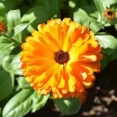 캔들웨이 이미지