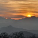 옥진농장 이미지