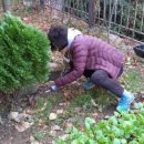 자라경로당 이미지