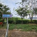 그리고 봄 펜션 민박 이미지