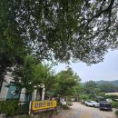 참맑은아침단체애견스파독채커플펜션 | 경주 참맑은아침펜션 가족여행 후기/ 단체, 애견동반 가능 펜션
