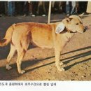 어깨가 젖혀졌다는 말의 뜻 이미지