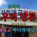 서해대교바다낚시터 Daum카페