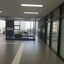 팀몬스터 복싱체육관 이미지