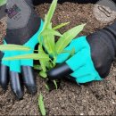 춘봉농장 이미지