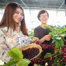 굿모닝농장 이미지