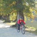 반곡저수지 이미지