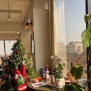 세븐일레븐전주만성중앙점 | [전북/전주 만성동]양식 맛집 루오모