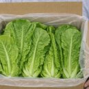 흙뿌리 농장 이미지